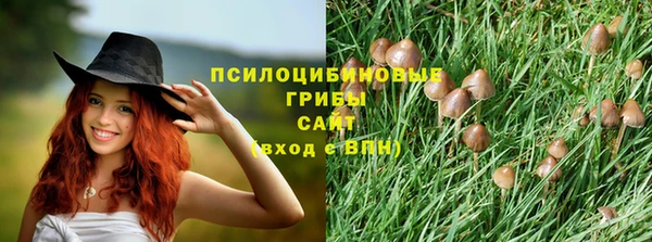 гидропоника Нязепетровск