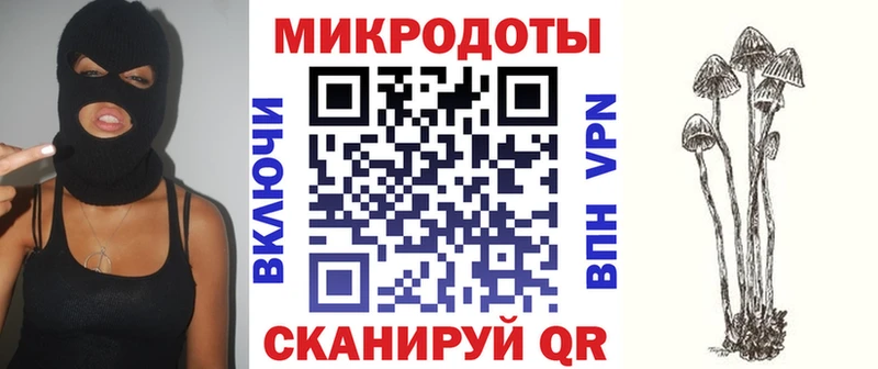 магазин продажи наркотиков  Фролово  Галлюциногенные грибы прущие грибы 